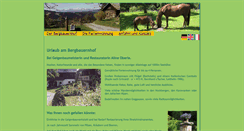 Desktop Screenshot of geigenbauernhof.at
